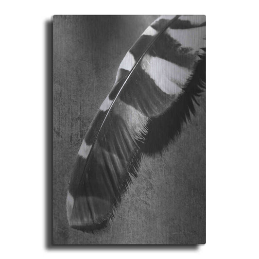 Luxe Metal Art 'Feather Shadow II' by Debra Van Swearingen, Metal Wall Art