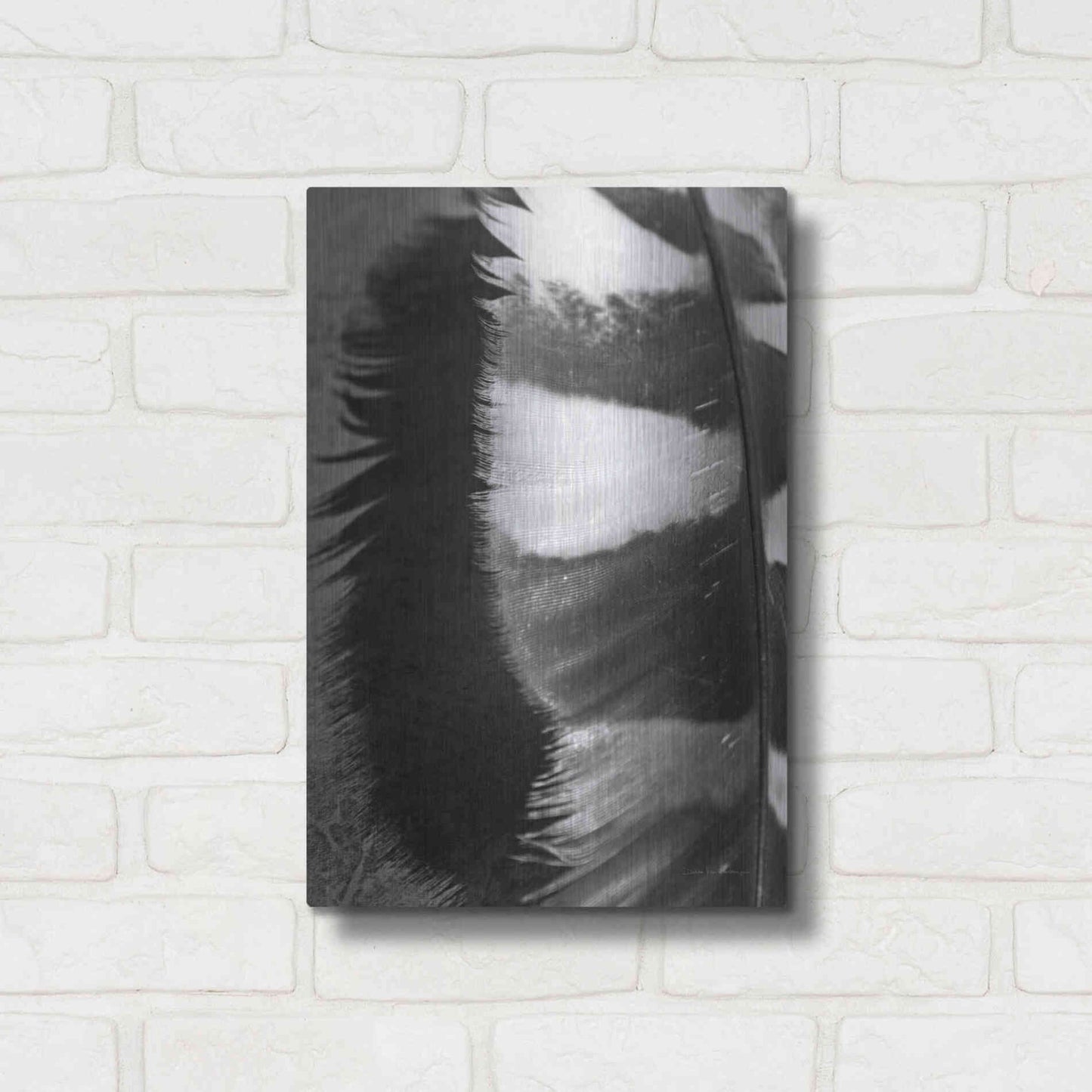 Luxe Metal Art 'Feather Shadow III' by Debra Van Swearingen, Metal Wall Art,12x16