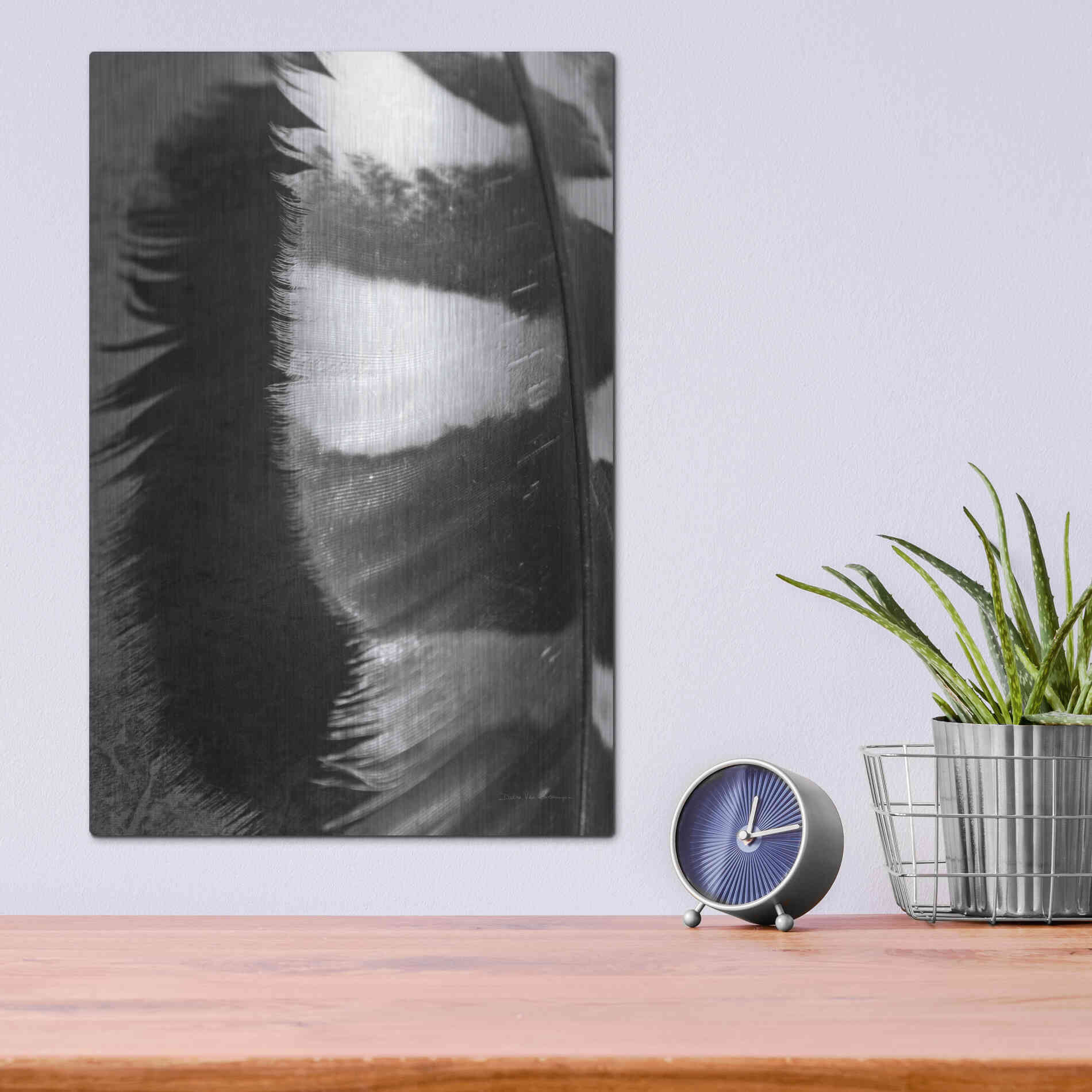 Luxe Metal Art 'Feather Shadow III' by Debra Van Swearingen, Metal Wall Art,12x16