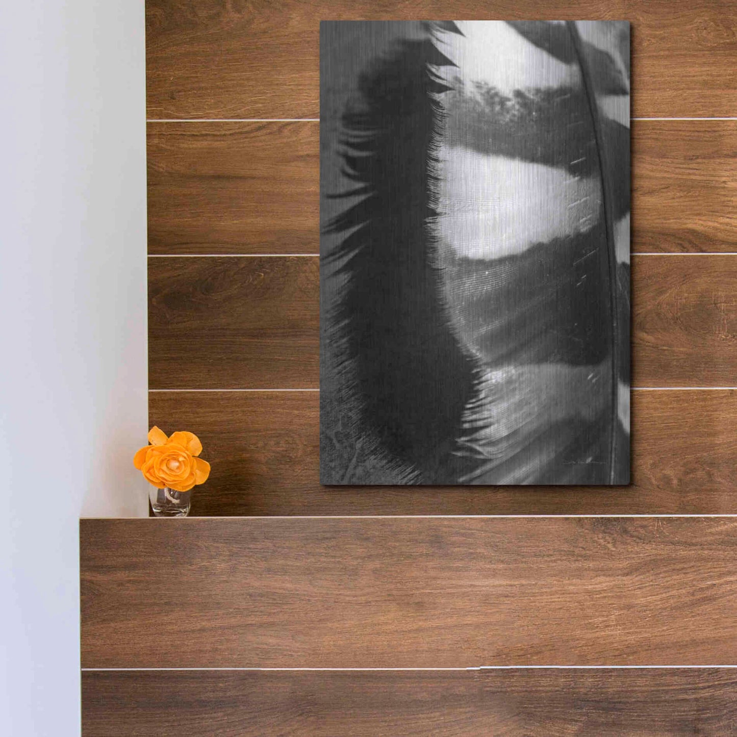 Luxe Metal Art 'Feather Shadow III' by Debra Van Swearingen, Metal Wall Art,12x16