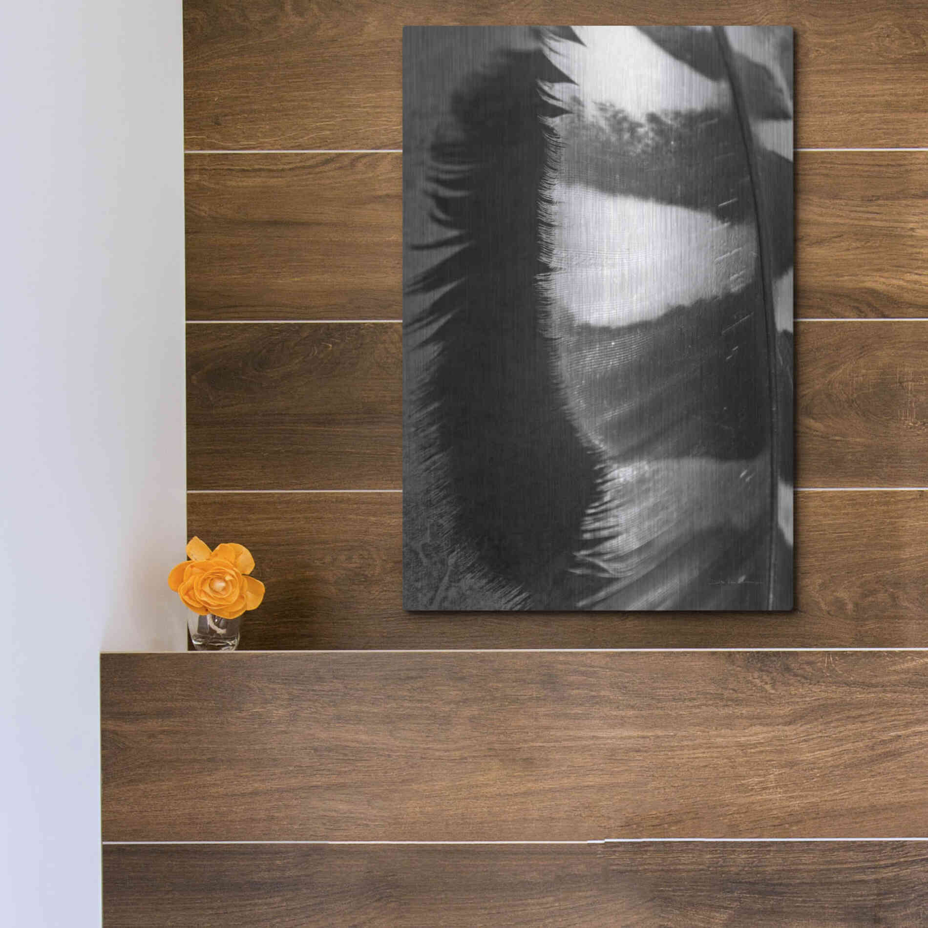 Luxe Metal Art 'Feather Shadow III' by Debra Van Swearingen, Metal Wall Art,12x16