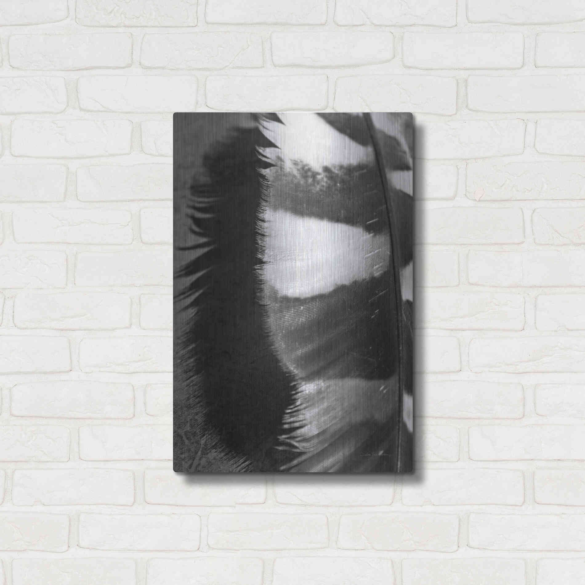 Luxe Metal Art 'Feather Shadow III' by Debra Van Swearingen, Metal Wall Art,16x24