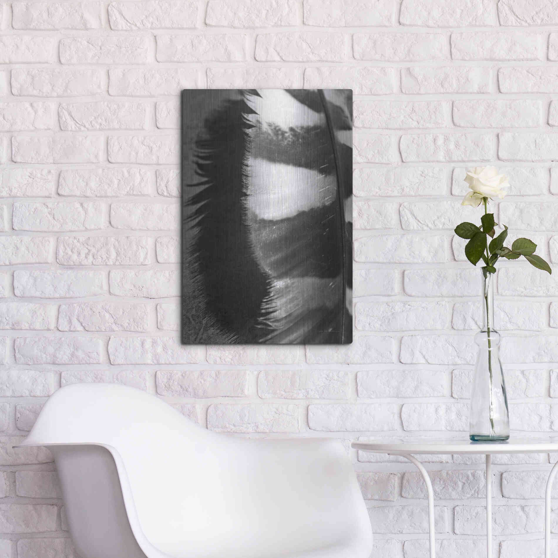 Luxe Metal Art 'Feather Shadow III' by Debra Van Swearingen, Metal Wall Art,16x24