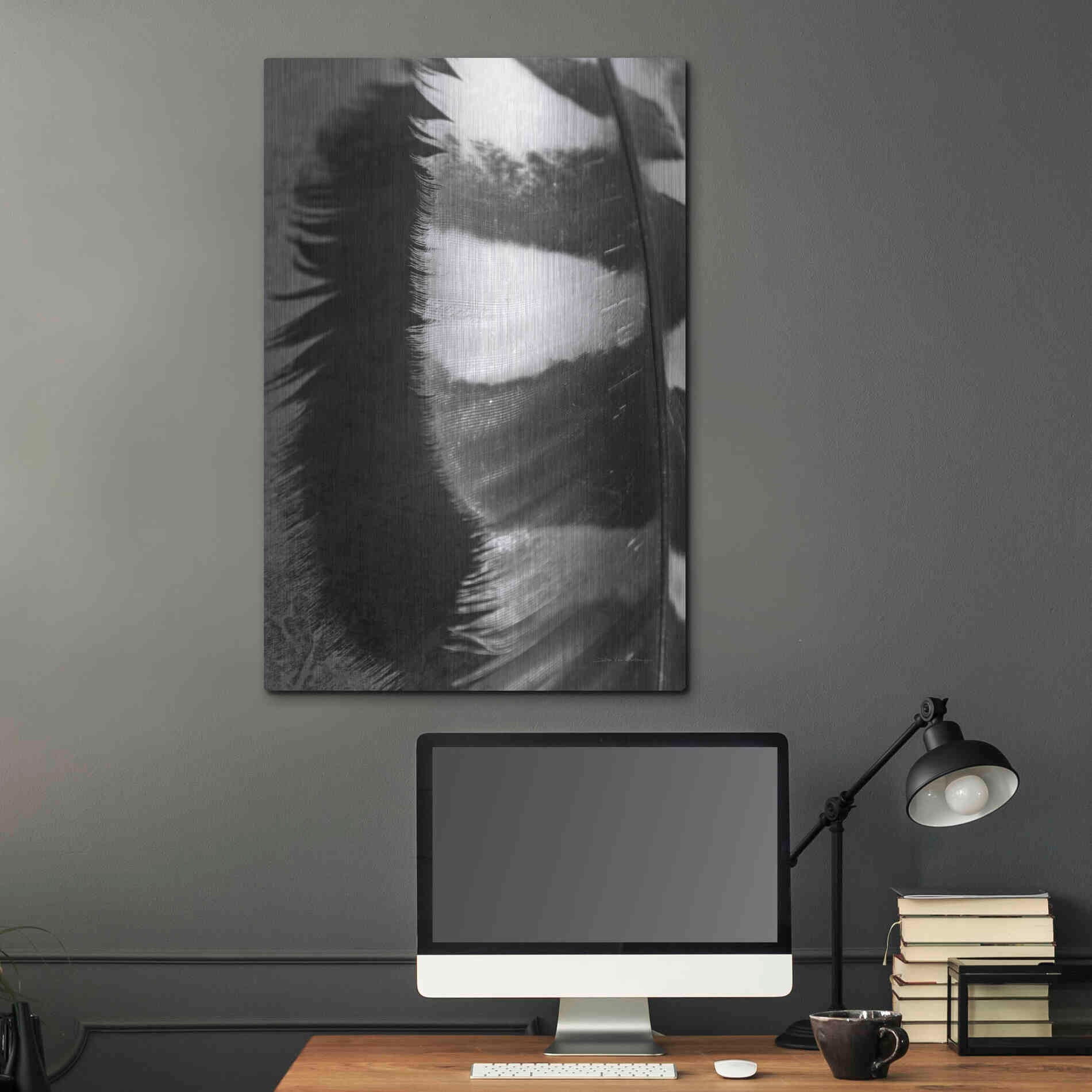 Luxe Metal Art 'Feather Shadow III' by Debra Van Swearingen, Metal Wall Art,24x36