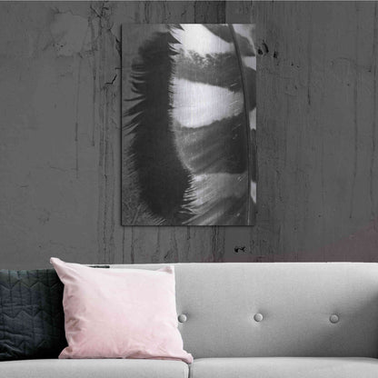 Luxe Metal Art 'Feather Shadow III' by Debra Van Swearingen, Metal Wall Art,24x36