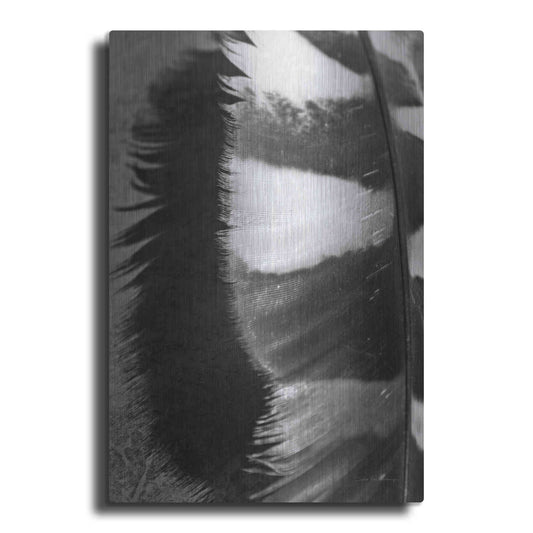 Luxe Metal Art 'Feather Shadow III' by Debra Van Swearingen, Metal Wall Art