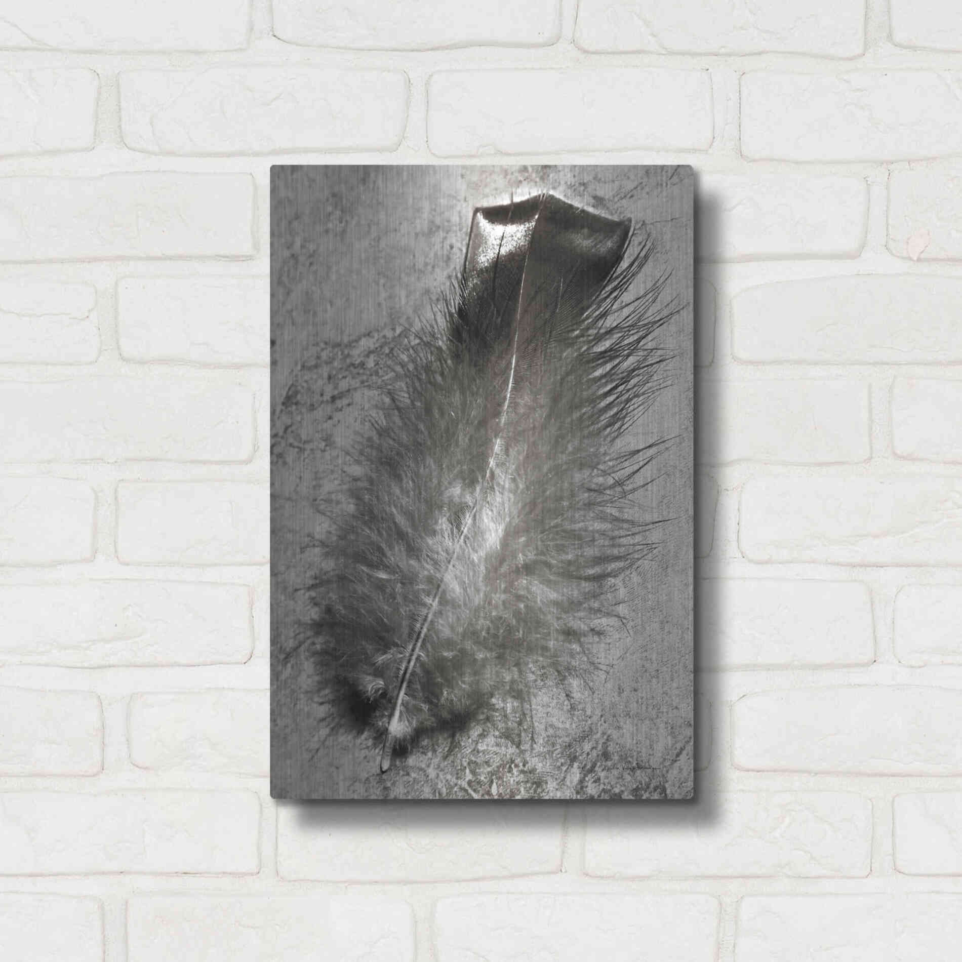Luxe Metal Art 'Feather Shadow IV' by Debra Van Swearingen, Metal Wall Art,12x16