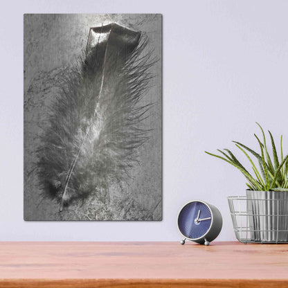 Luxe Metal Art 'Feather Shadow IV' by Debra Van Swearingen, Metal Wall Art,12x16
