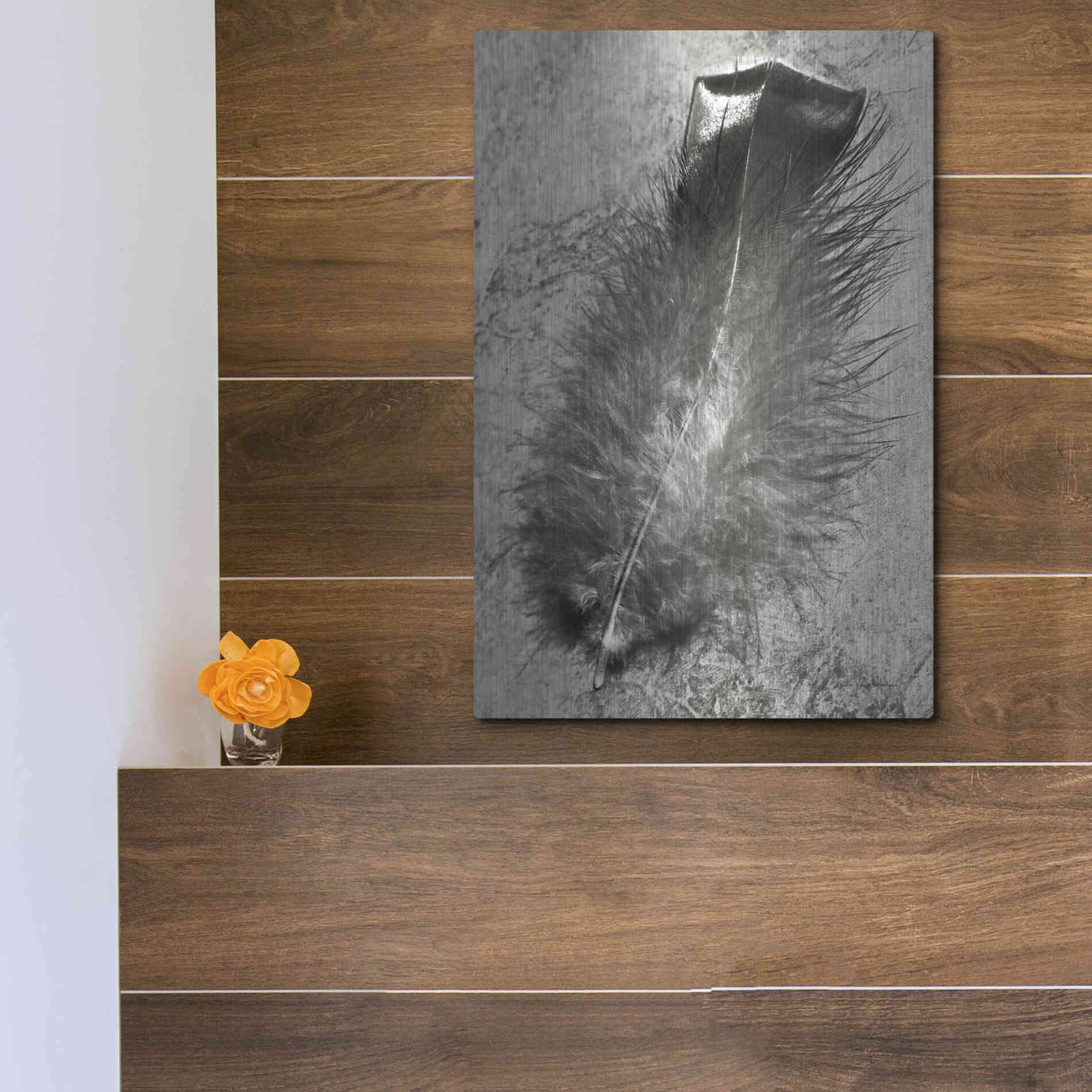 Luxe Metal Art 'Feather Shadow IV' by Debra Van Swearingen, Metal Wall Art,12x16