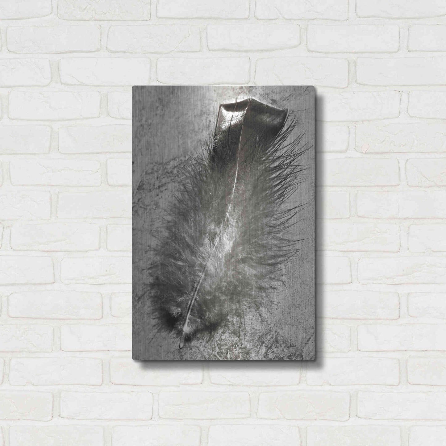 Luxe Metal Art 'Feather Shadow IV' by Debra Van Swearingen, Metal Wall Art,16x24