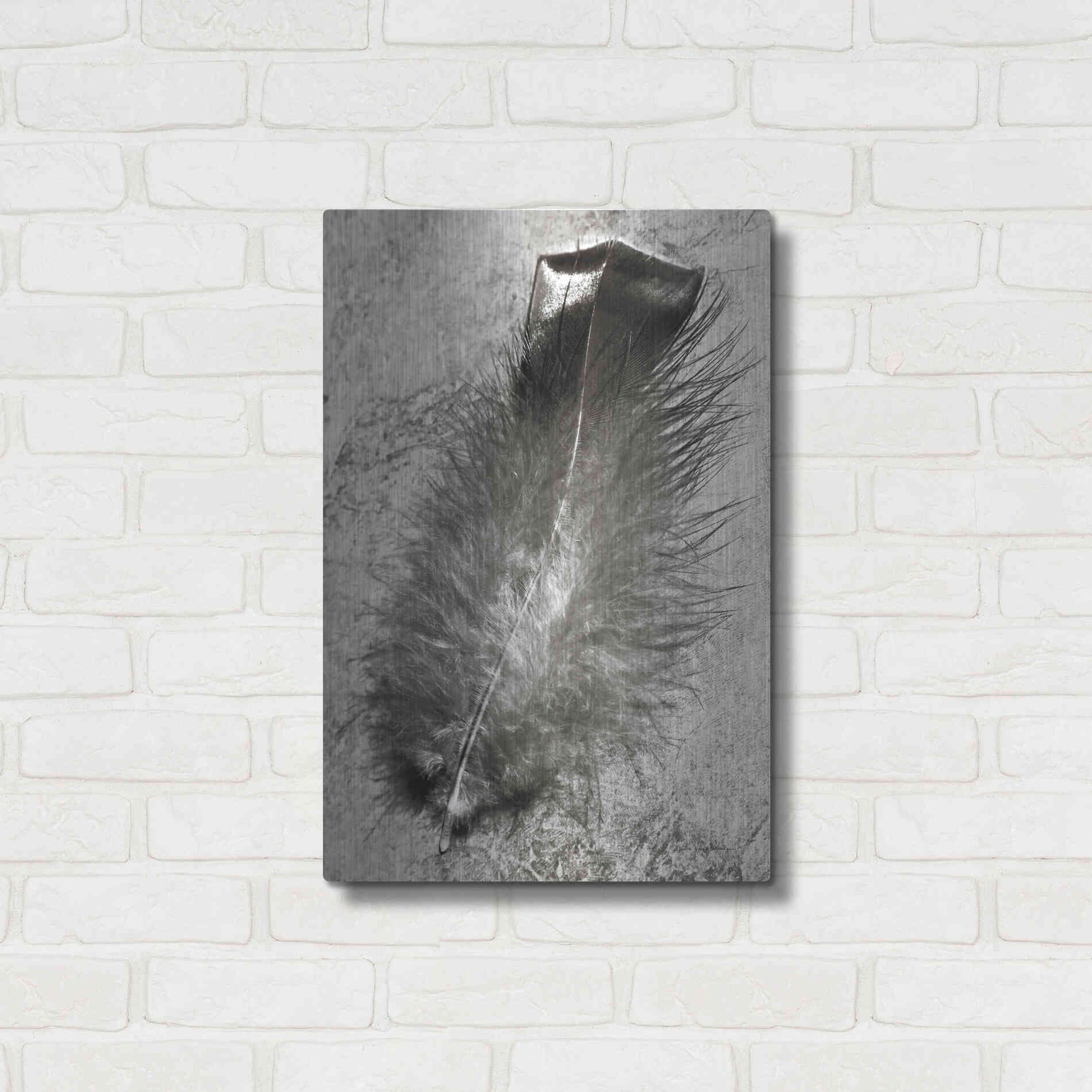 Luxe Metal Art 'Feather Shadow IV' by Debra Van Swearingen, Metal Wall Art,16x24