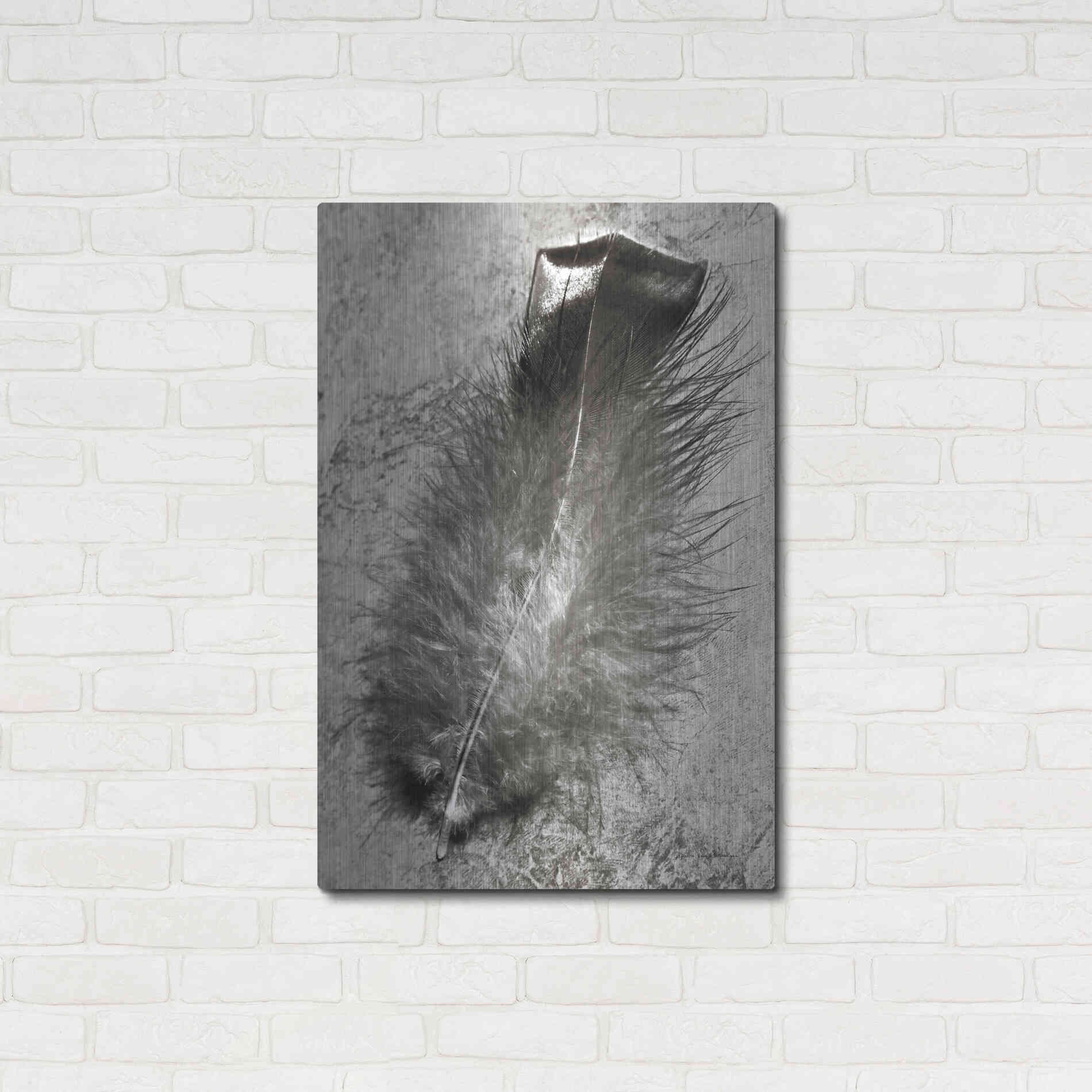 Luxe Metal Art 'Feather Shadow IV' by Debra Van Swearingen, Metal Wall Art,24x36