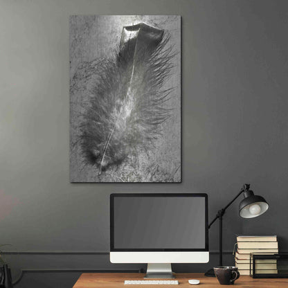 Luxe Metal Art 'Feather Shadow IV' by Debra Van Swearingen, Metal Wall Art,24x36