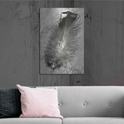 Luxe Metal Art 'Feather Shadow IV' by Debra Van Swearingen, Metal Wall Art,24x36