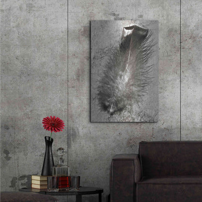 Luxe Metal Art 'Feather Shadow IV' by Debra Van Swearingen, Metal Wall Art,24x36