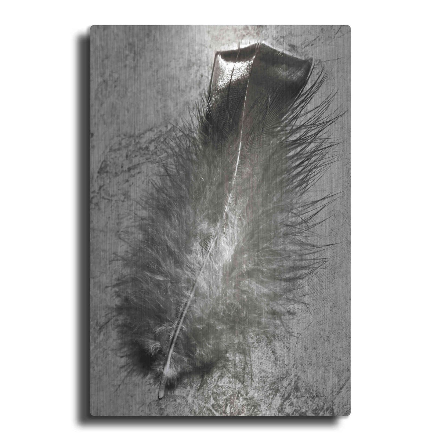 Luxe Metal Art 'Feather Shadow IV' by Debra Van Swearingen, Metal Wall Art