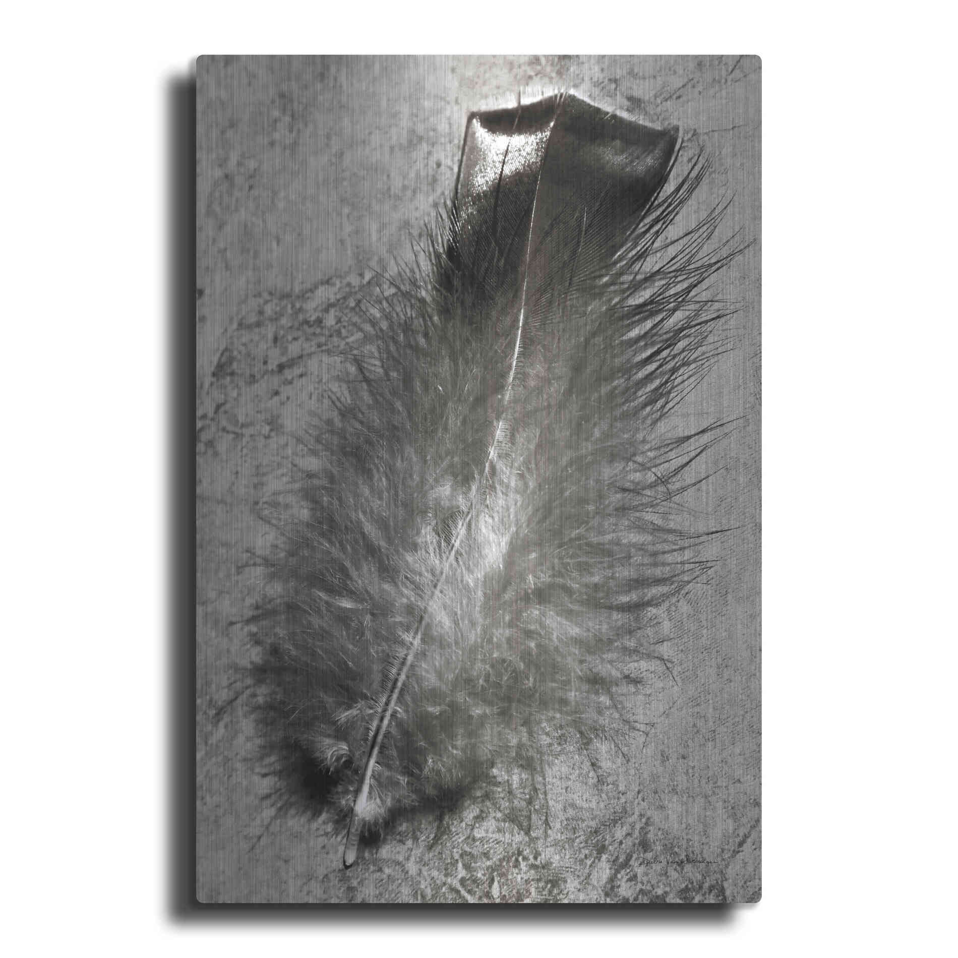 Luxe Metal Art 'Feather Shadow IV' by Debra Van Swearingen, Metal Wall Art