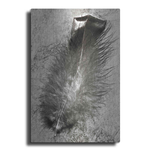 Luxe Metal Art 'Feather Shadow IV' by Debra Van Swearingen, Metal Wall Art