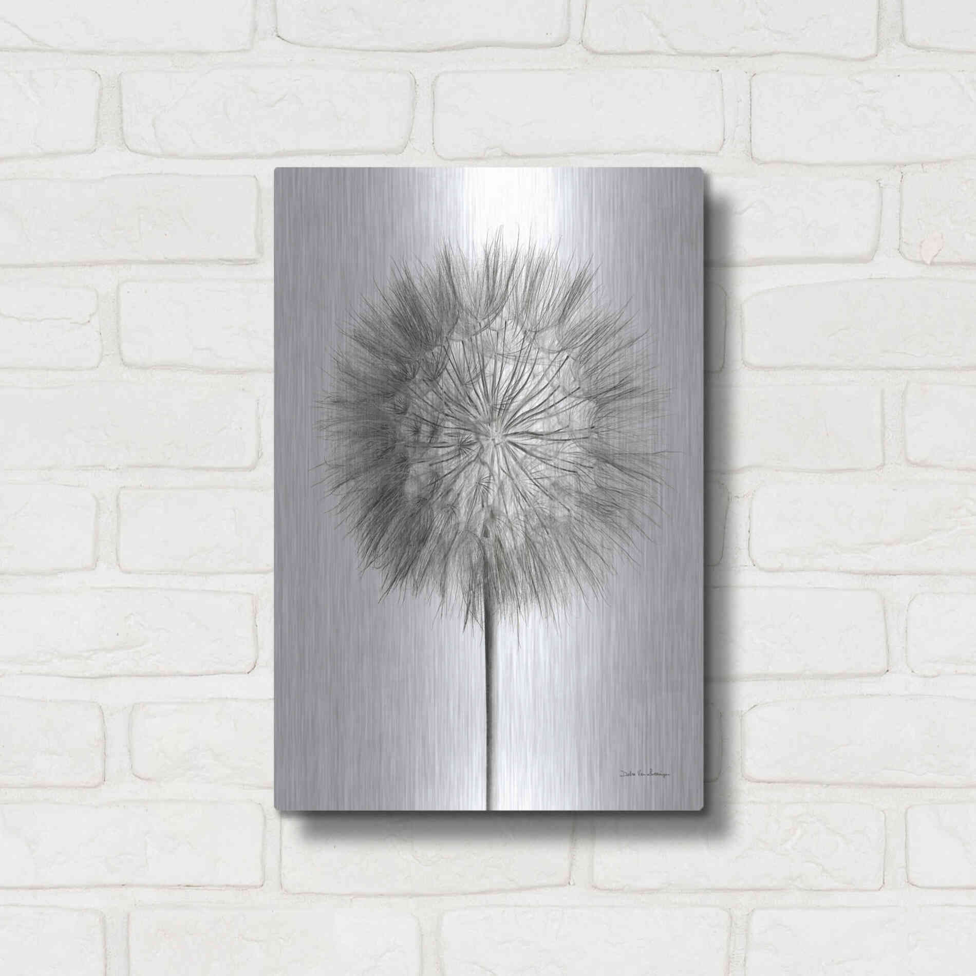 Luxe Metal Art 'Dandelion Fluff on White' by Debra Van Swearingen, Metal Wall Art,12x16