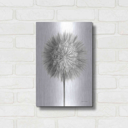 Luxe Metal Art 'Dandelion Fluff on White' by Debra Van Swearingen, Metal Wall Art,12x16