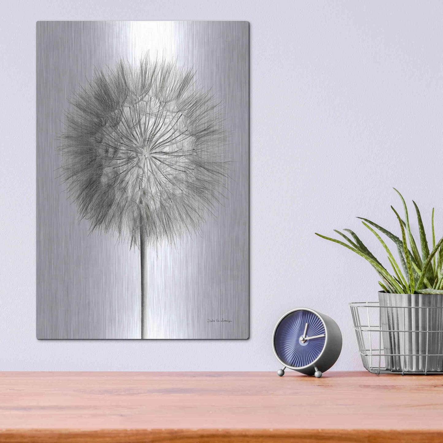 Luxe Metal Art 'Dandelion Fluff on White' by Debra Van Swearingen, Metal Wall Art,12x16