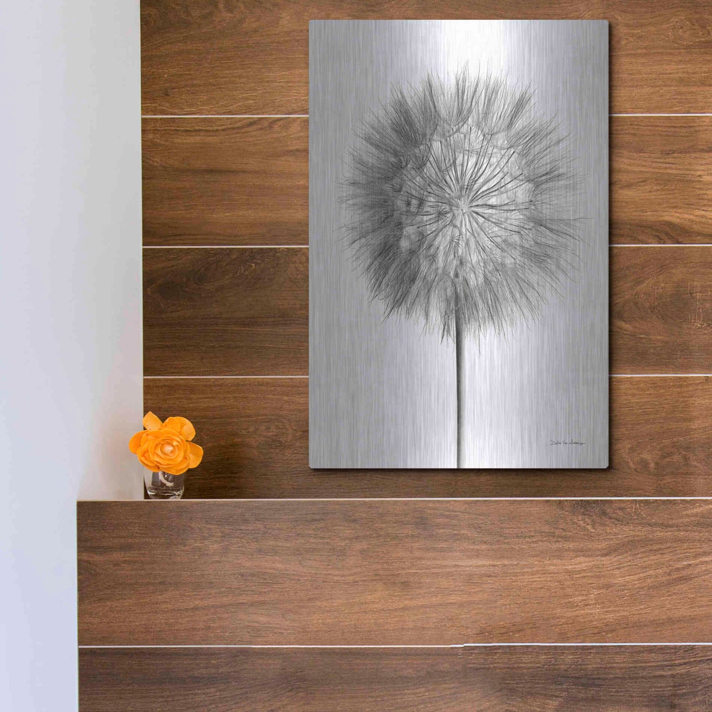 Luxe Metal Art 'Dandelion Fluff on White' by Debra Van Swearingen, Metal Wall Art,12x16