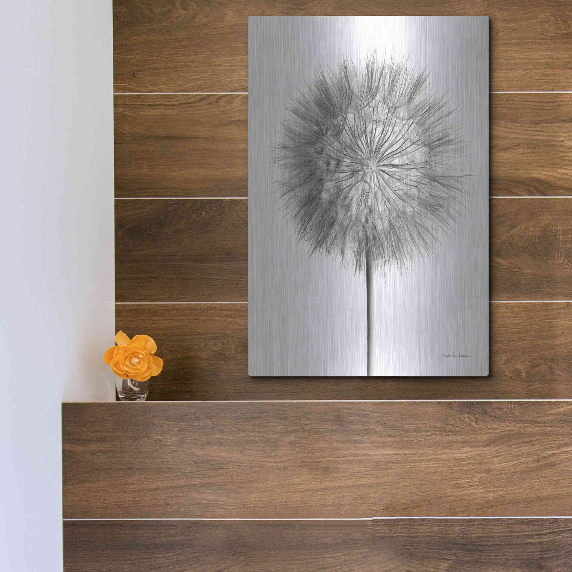 Luxe Metal Art 'Dandelion Fluff on White' by Debra Van Swearingen, Metal Wall Art,12x16