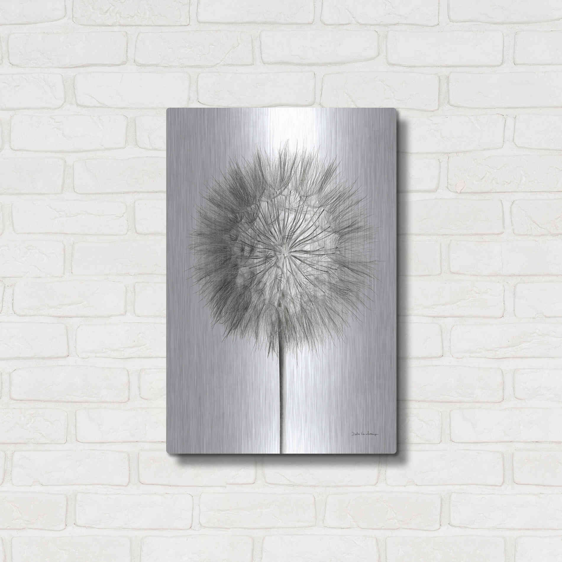 Luxe Metal Art 'Dandelion Fluff on White' by Debra Van Swearingen, Metal Wall Art,16x24