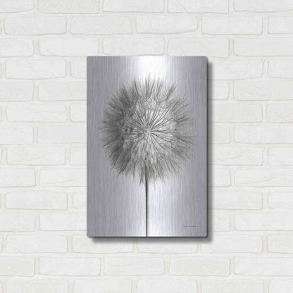 Luxe Metal Art 'Dandelion Fluff on White' by Debra Van Swearingen, Metal Wall Art,16x24