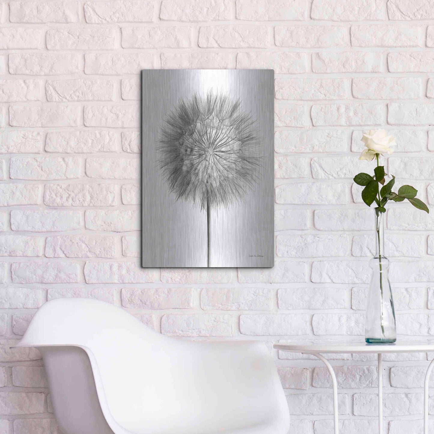 Luxe Metal Art 'Dandelion Fluff on White' by Debra Van Swearingen, Metal Wall Art,16x24