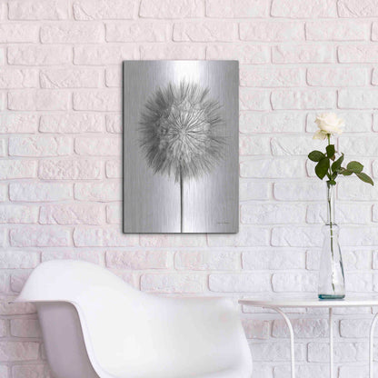 Luxe Metal Art 'Dandelion Fluff on White' by Debra Van Swearingen, Metal Wall Art,16x24