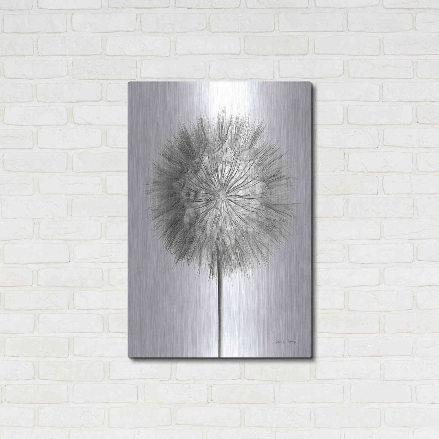 Luxe Metal Art 'Dandelion Fluff on White' by Debra Van Swearingen, Metal Wall Art,24x36