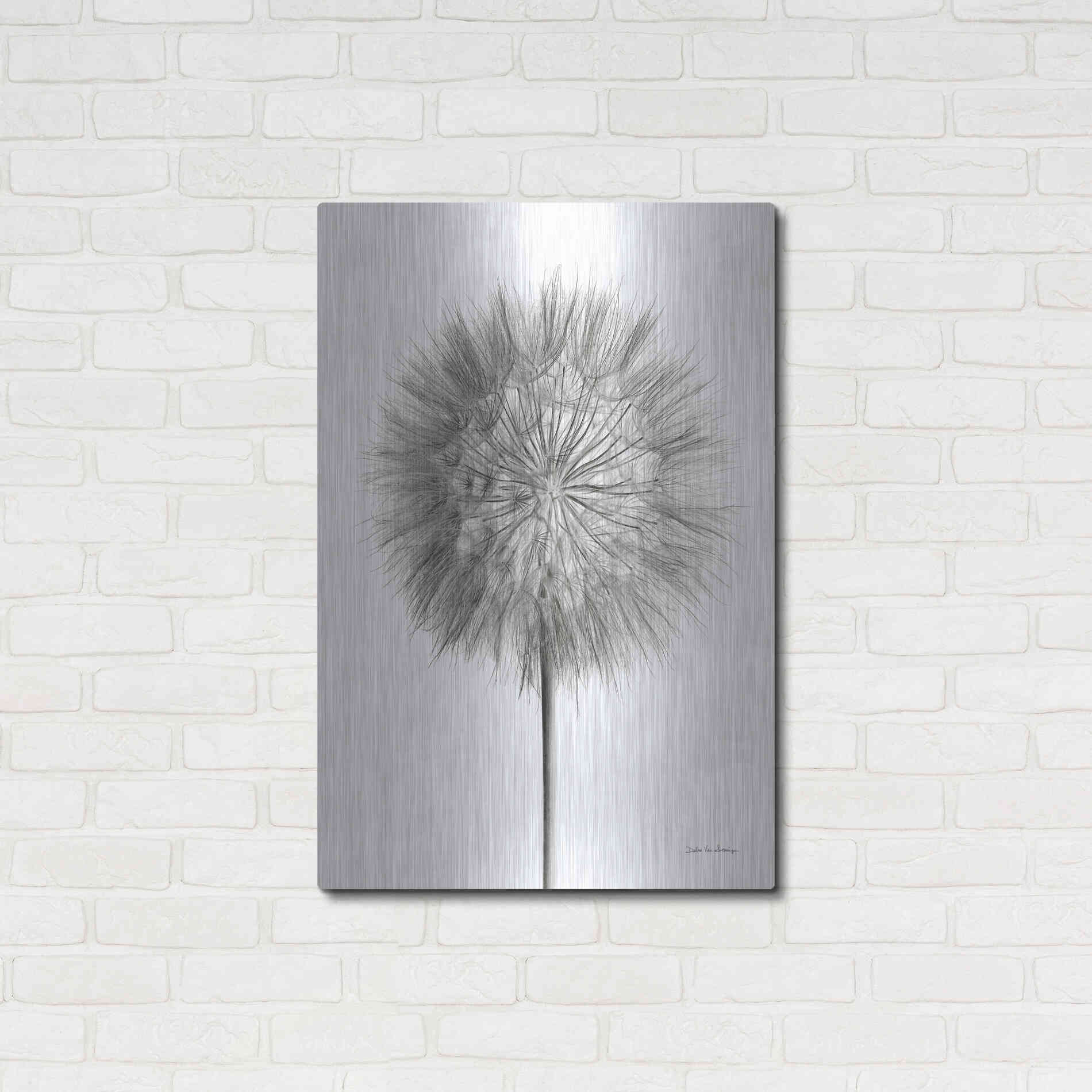 Luxe Metal Art 'Dandelion Fluff on White' by Debra Van Swearingen, Metal Wall Art,24x36