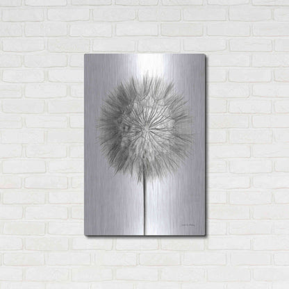Luxe Metal Art 'Dandelion Fluff on White' by Debra Van Swearingen, Metal Wall Art,24x36