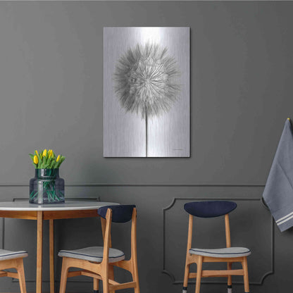 Luxe Metal Art 'Dandelion Fluff on White' by Debra Van Swearingen, Metal Wall Art,24x36