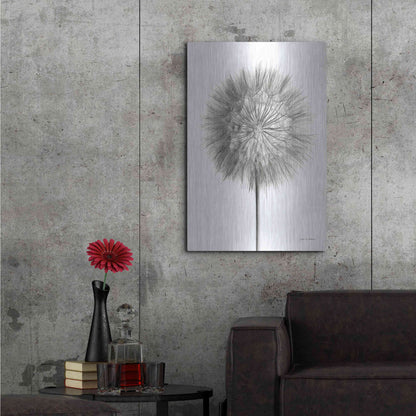 Luxe Metal Art 'Dandelion Fluff on White' by Debra Van Swearingen, Metal Wall Art,24x36
