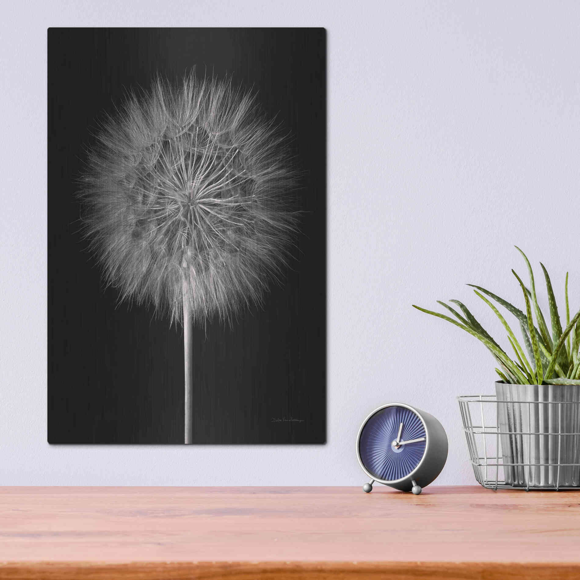 Luxe Metal Art 'Dandelion Fluff on Black' by Debra Van Swearingen, Metal Wall Art,12x16