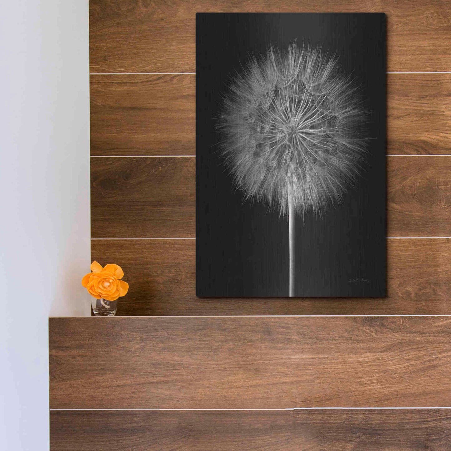 Luxe Metal Art 'Dandelion Fluff on Black' by Debra Van Swearingen, Metal Wall Art,12x16