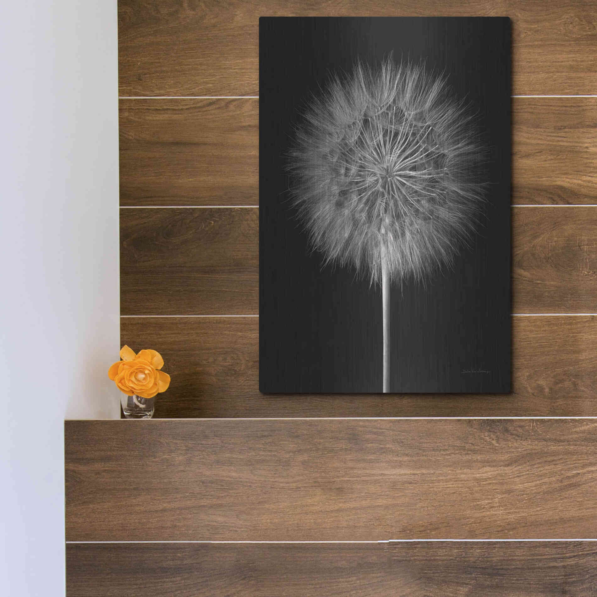 Luxe Metal Art 'Dandelion Fluff on Black' by Debra Van Swearingen, Metal Wall Art,12x16