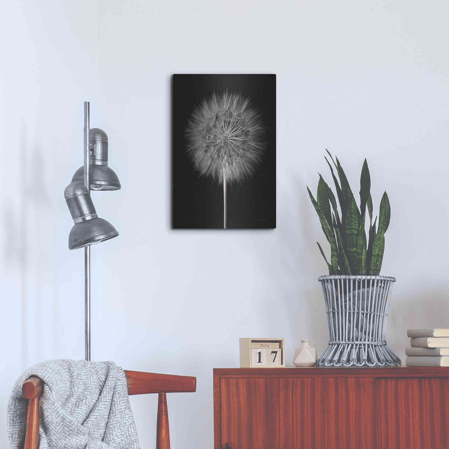 Luxe Metal Art 'Dandelion Fluff on Black' by Debra Van Swearingen, Metal Wall Art,16x24