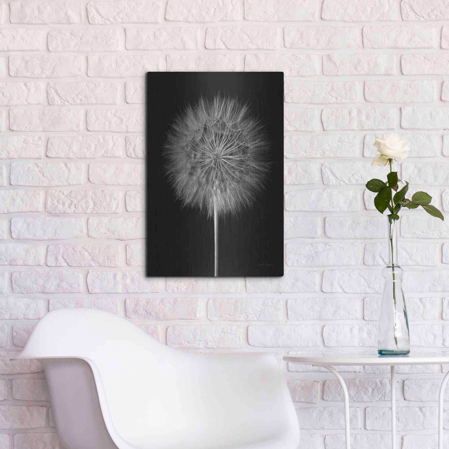 Luxe Metal Art 'Dandelion Fluff on Black' by Debra Van Swearingen, Metal Wall Art,16x24