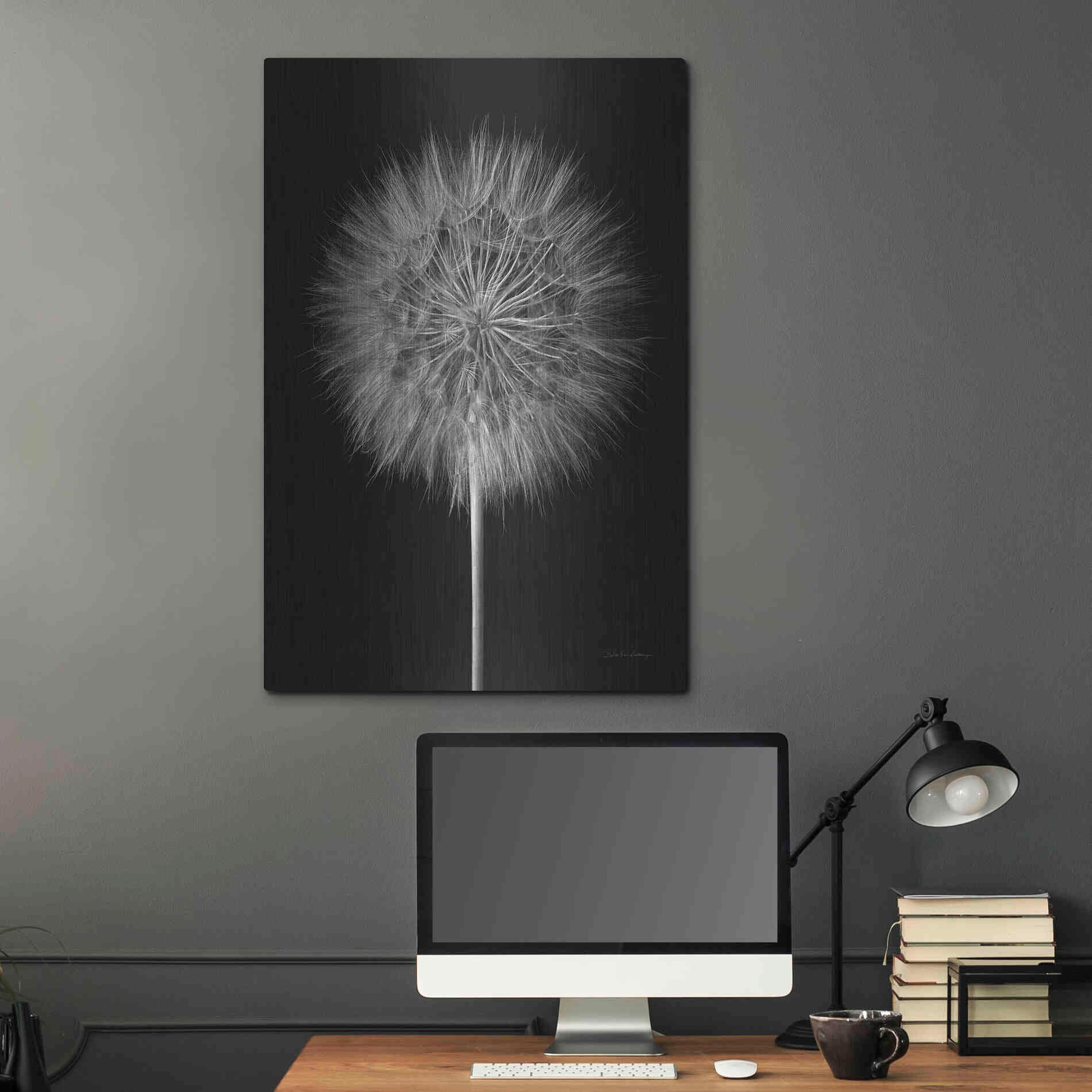 Luxe Metal Art 'Dandelion Fluff on Black' by Debra Van Swearingen, Metal Wall Art,24x36
