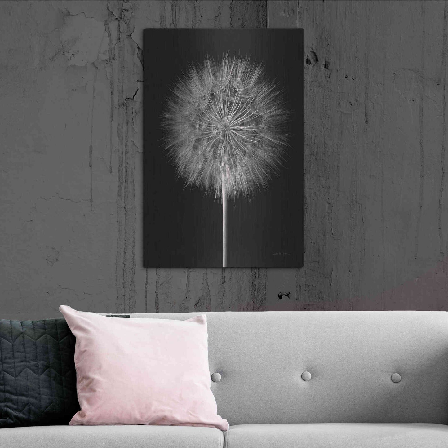 Luxe Metal Art 'Dandelion Fluff on Black' by Debra Van Swearingen, Metal Wall Art,24x36