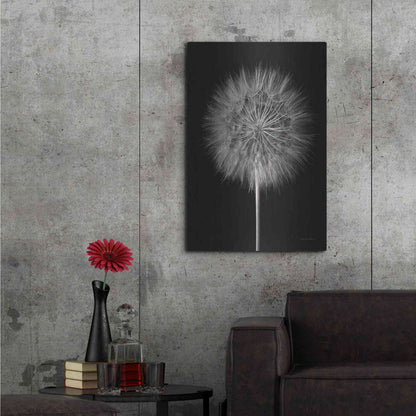 Luxe Metal Art 'Dandelion Fluff on Black' by Debra Van Swearingen, Metal Wall Art,24x36