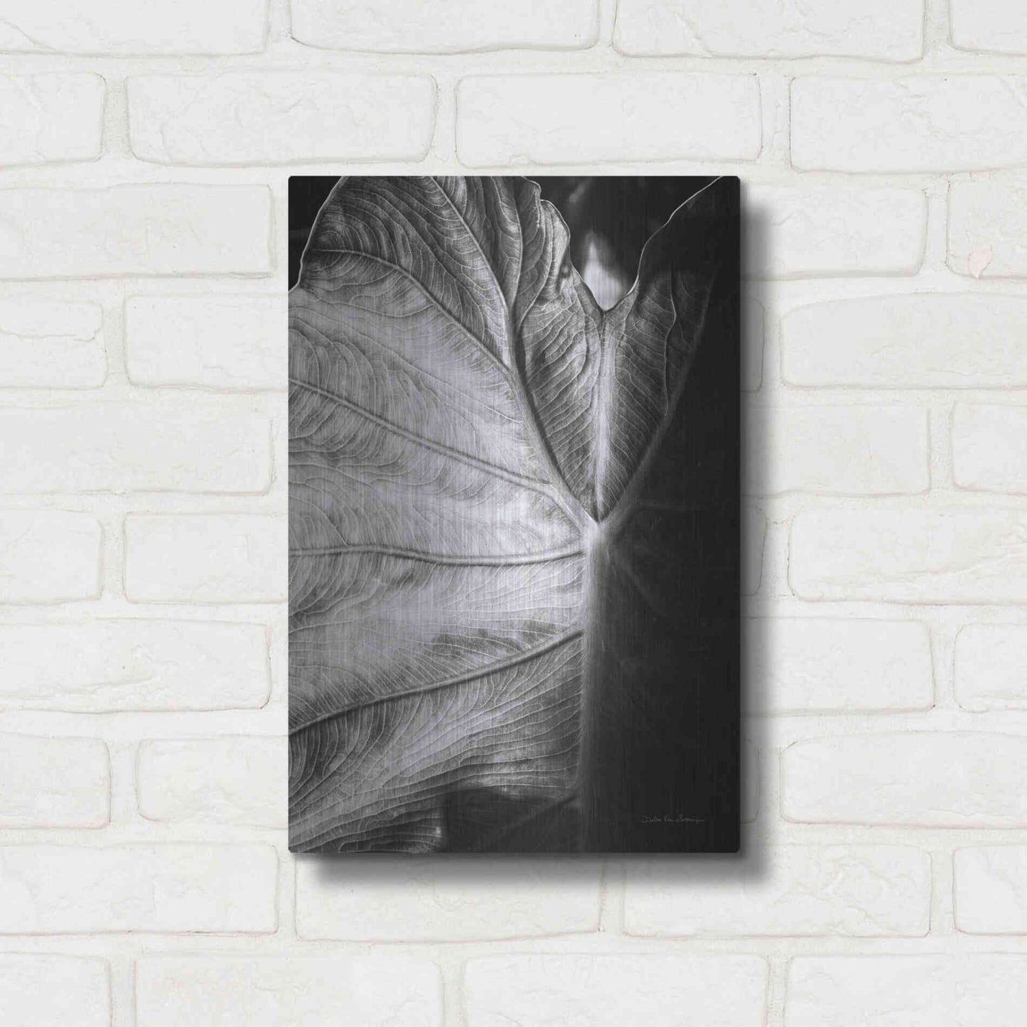 Luxe Metal Art 'Elephant Ear I' by Debra Van Swearingen, Metal Wall Art,12x16