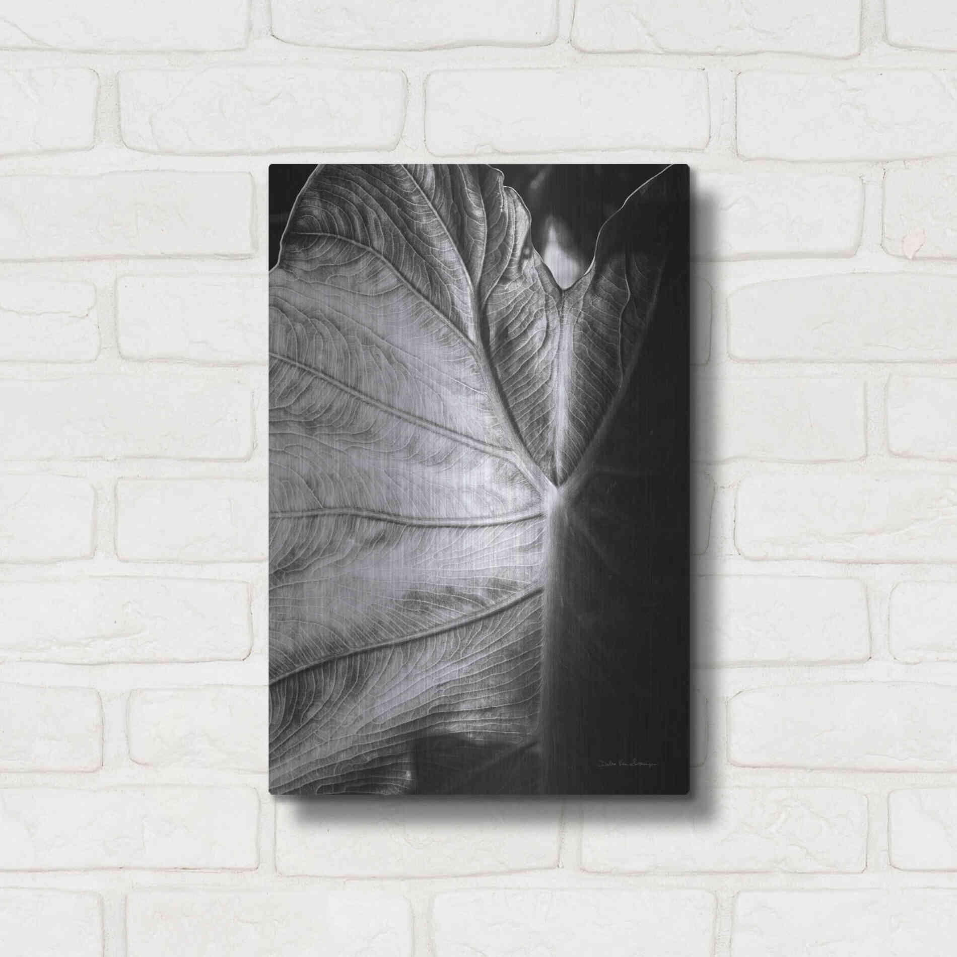 Luxe Metal Art 'Elephant Ear I' by Debra Van Swearingen, Metal Wall Art,12x16