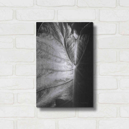 Luxe Metal Art 'Elephant Ear I' by Debra Van Swearingen, Metal Wall Art,12x16