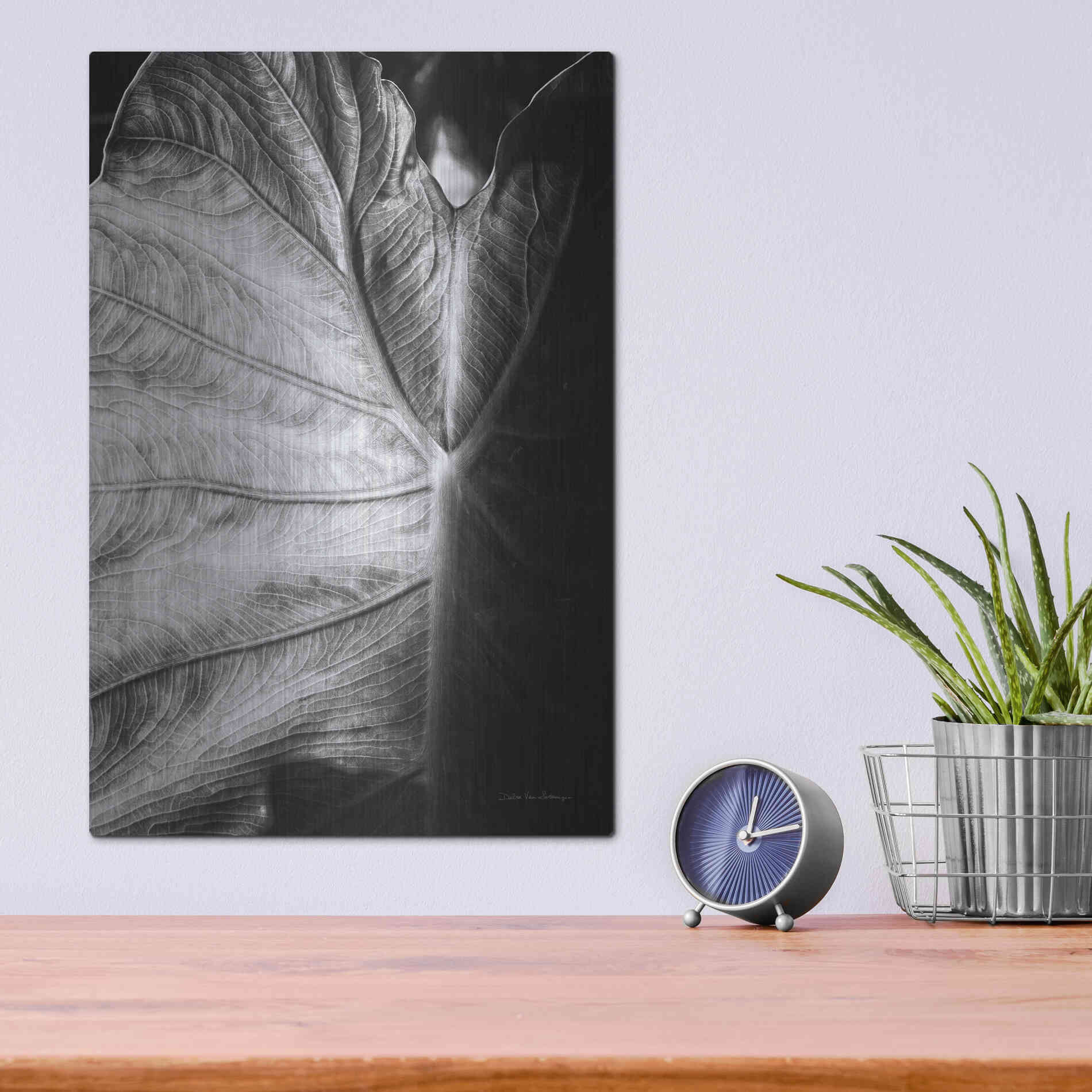 Luxe Metal Art 'Elephant Ear I' by Debra Van Swearingen, Metal Wall Art,12x16