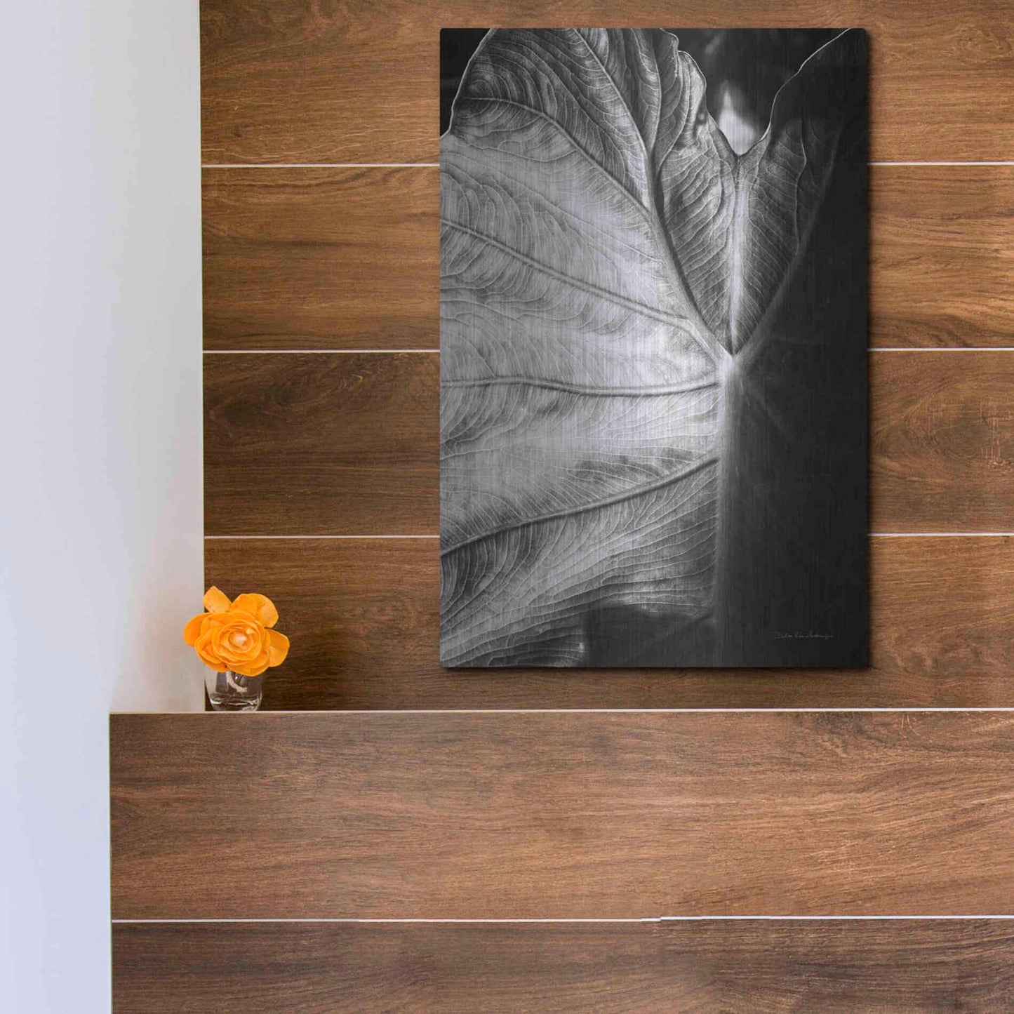 Luxe Metal Art 'Elephant Ear I' by Debra Van Swearingen, Metal Wall Art,12x16