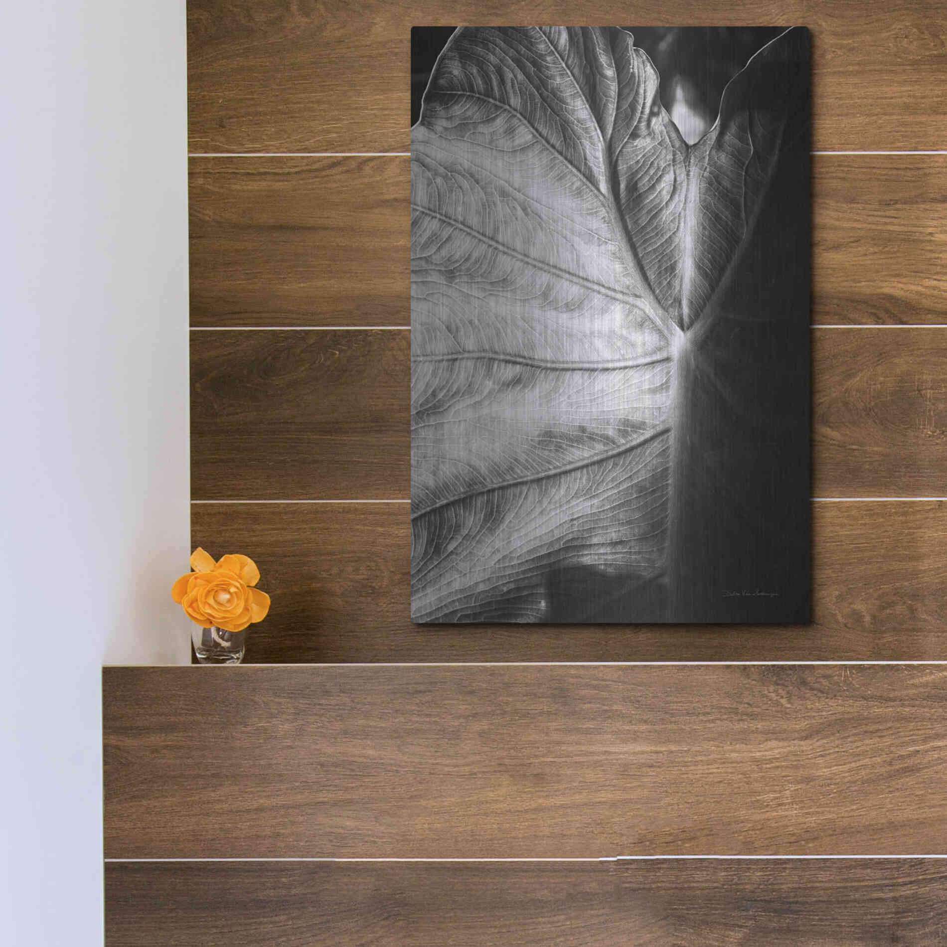 Luxe Metal Art 'Elephant Ear I' by Debra Van Swearingen, Metal Wall Art,12x16